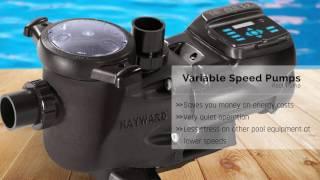 Learn About Variable Speed Pool Pumps | Hayward Pool Pumps