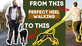 How To Teach Your Dog To Walk To Heel In Seconds