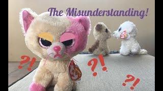 Beanie Boo's: The Misunderstanding!
