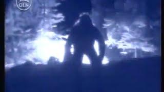 Mysterious Encounters: MOUNTAIN DEVIL (REAL BIGFOOT DOCUMENTARY)