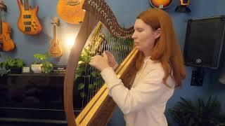 Learning the harp - 1 month - Sound of silence