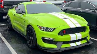 My Shelby GT350R Is Back!