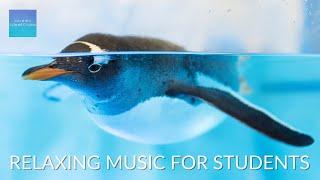 Relaxing Music For Elementary Students - Penguins  - Calm classroom music for children, study music