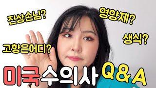 미국수의사  Q&A