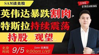 英伟达连阴暴跌，割肉or补仓？特斯拉持续震荡，持股or观望？【美股直通车】2024.09.05 #sam谈美股 #美股分析 #tsla #nvda #特斯拉 #英伟达