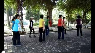 You Shi Xi Yu (又是细雨) - Line Dance (KH Loh)