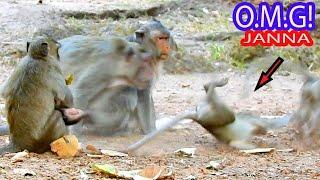 LOOK SO FUNNY! BRAT JANNA FALLS BY HITTING OTHER MONKEY, BUT JANE TRIES TO PROTECT HER FROM GANGSTER