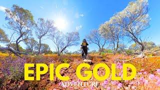 EPIC GOLD PROSPECTING Adventure ! Western Australia's Latest GOLD RUSH