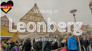 【Leonberg】Spaziergang in Leonberg Germany / Walking Tour / Karneval und Pferdemarkt im Frühling