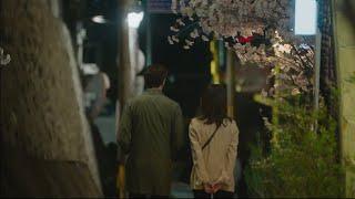 벚꽃이 떨어지는 밤을 기다리며 | playlist