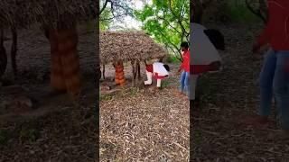 #Timelapse, start to finish alone build log cabin (wooden house), how to build wooden cabin 252