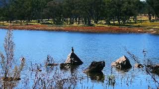 A visual photo of Dumaresq Dam Armidale.