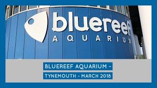 Blue Reef Aquarium -Tynemouth -  March 2019