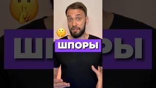 КАКИЕ ШПОРЫ ВЗЯТЬ НА ЭКЗАМЕН ПО ИСТОРИИ?  #егэ2024 #история #егэ #историческиефакты #интересное