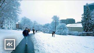  Aarhus, Denmark - Snow Fall Walking Tour 4K - Dec 2023