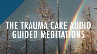 Start Resolving Complex Trauma or PTSD Today With The Trauma Care Exclusive Package