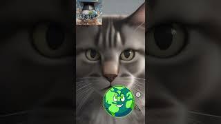 FYI - Cats #interestingfacts #educationalvideo #cats #animals