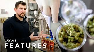 Hemp vs. Marijuana: Meet The Innovator Capitalizing On A $28 Billion Legal Loophole | Forbes