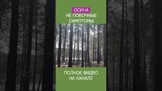 НАТУРАЛЬНЫЕ ТРАВЫ от Болезней — Как Применять их Максимально Полезно! #shotrs #фитотерапия #травы