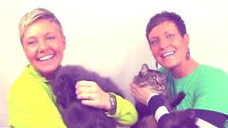 Meet The Two Crazy Cat Ladies