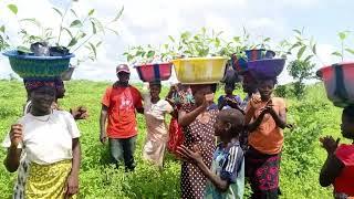 Impact Villages - Afrikanische Dörfer empowern, CO2 kompensieren, Menschen begeistern.