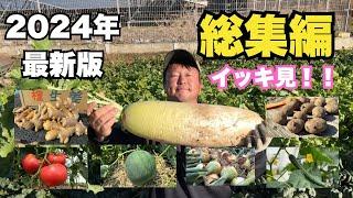 【野菜作り】塚原農園１時間いっき見！！総集編　１月〜７月（２０２４年最新版）