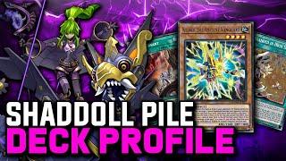 THE NEW FUSION SPICE! | Yu-Gi-Oh! Shaddoll "Pile" Deck Profile April 2023 Format