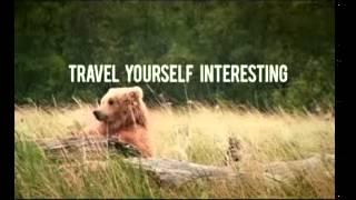 Expedia Bear Ad Travel Yourself Interesting Yellowstone National Park