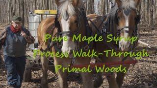 Primal Woods Maple Syrup Process Walk-Through