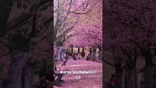 Id kemadi hozircha shu🫠🫠