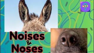 Game! Do you know these animal noses and noises?