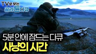 거친 자연에서 살아남기 위해 서로가 서로를 사냥하는 시간, 가혹한 환경을 극복하고 삶을 이어가는 초원과 사막의 이야기｜수면 다큐｜다큐프라임｜#골라듄다큐