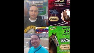 HIPISMO PROFESIONAL  DOMINGO 24/11/2024