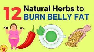 Melt Your Belly Fat Overnight with These 12 Miracle Herbs! | VisitJoy