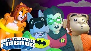 BEST OF DC Superhero Animals!! | DC Super Friends | Cartoons For Kids | Action videos | Imaginext® ​