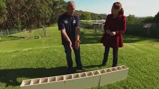 Australian Drug Detector Dogs: how they are trained - S1 Ep 6