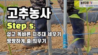 고추줄 짱짱하게 띄우기, 고추농사 Step 5. 고추지지대 똑바로 세우기와 고추줄 묶는법