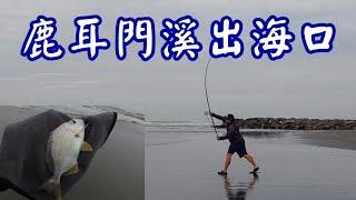 [胖咪]來出海口的沙灘 看看有什麼魚可以釣／ Gamma 35-400遠投竿／surf fishing casting!