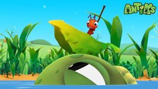 Hooked | Antiks  | Funny Cartoons for Kids