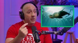 A sea lion saved him from drowning - Kevin Hines