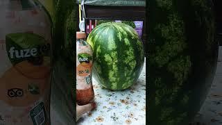 Закупка продуктов | Анна в Германии