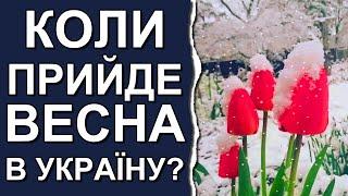 Синоптики приголомшили новим прогнозом погоди | Погода в Україні на лютий 2024