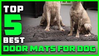 Top 5 Best Door Mats for Dog Review in 2023 | Smart Dirty Dog Doormat/Microfiber Dog Door Mat