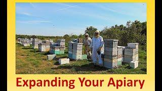 Expanding Your Apiary Part 1