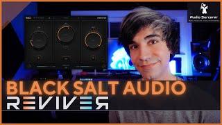 Black Salt Audio Reviver Review & Tutorial | What Does This Thing Do?