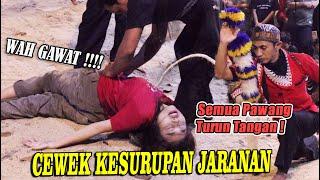 VIRAL ‼️ Cewek cantik kesurupan saat menonton jaranan kuda lumping