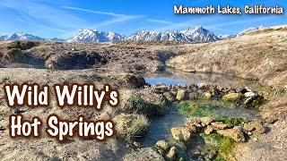 Wild Willy's Hot Spring - BEST Hot Spring in Mammoth Lakes, California