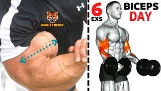 6  BEST BICEPS WORKOUT AT GYM TO GET BIGGER ARMS FAST