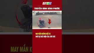 May mắn không mất xe nhờ sự xuất hiện của chú chó #shorts  | BPTV