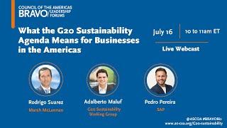 What the G20 Sustainability Agenda Means for Businesses in the Americas